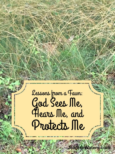 Lessons from a Fawn: God Sees Me, Hears Me, and Protects Me