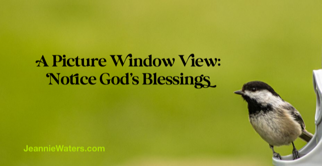 A Picture Window View: Notice God’s Blessings