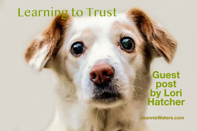 Learning to Trust by Guest Blogger, Lori Hatcher