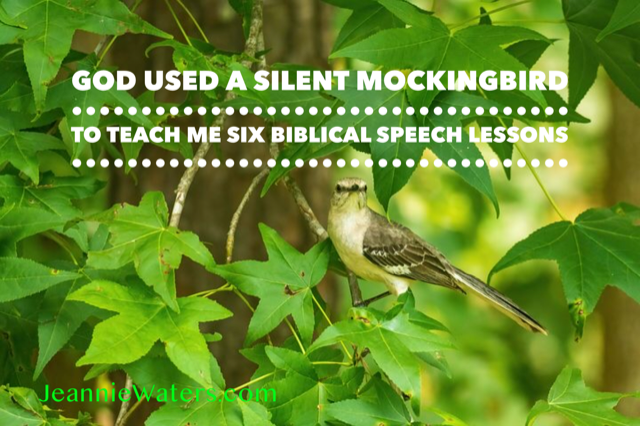 God Used a Silent Mockingbird to Teach Me Six Biblical Speech Lessons