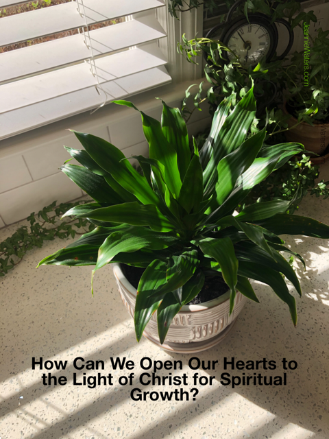 How Can We Open Our Hearts to the Light of Christ for Spiritual Growth?