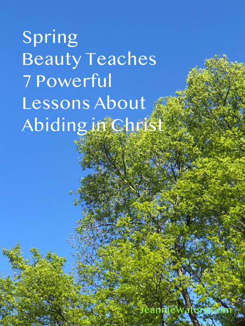 Spring Beauty Teaches 7 Powerful Lessons About Abiding in Christ